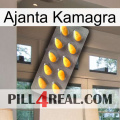 Ajanta Kamagra cialis1